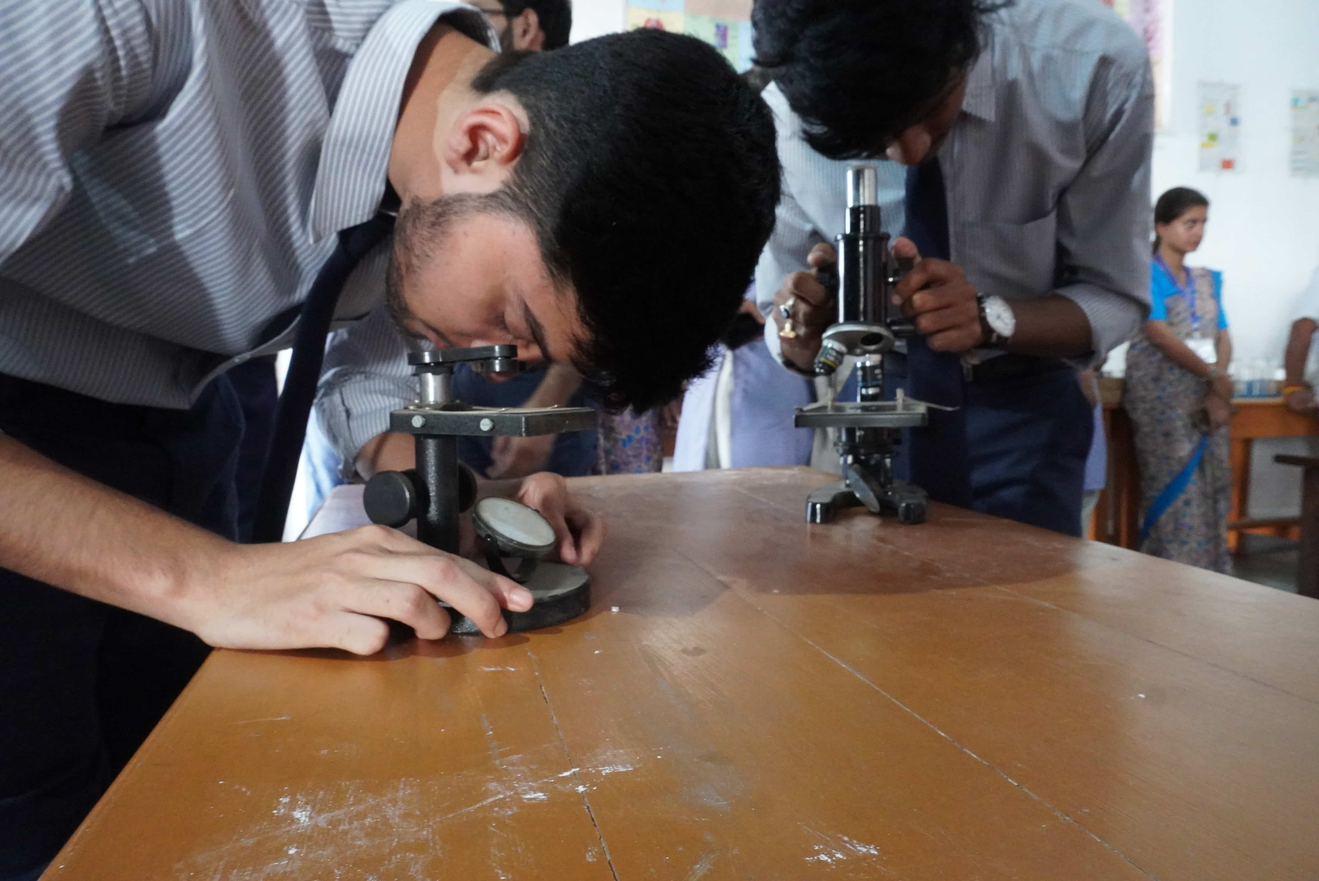 Curriculum Laboratory